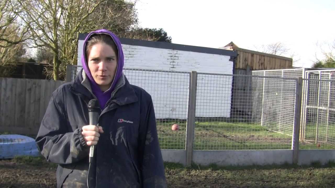 The reaction of Kennel maids to the floods around Leicester YouTube