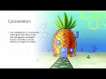 Cellular Functions Through the Lens of Spongebob Squarepants