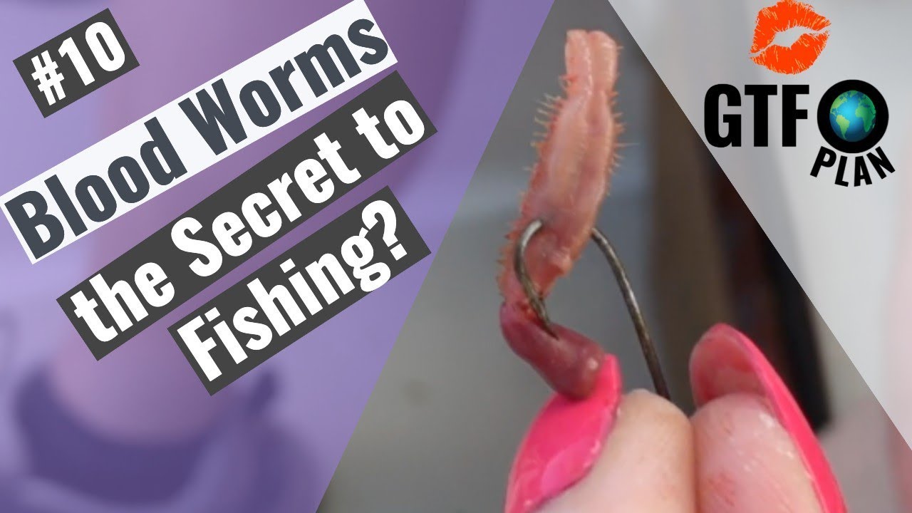 GTFO plan #11: Blood worms - the secret to fishing?