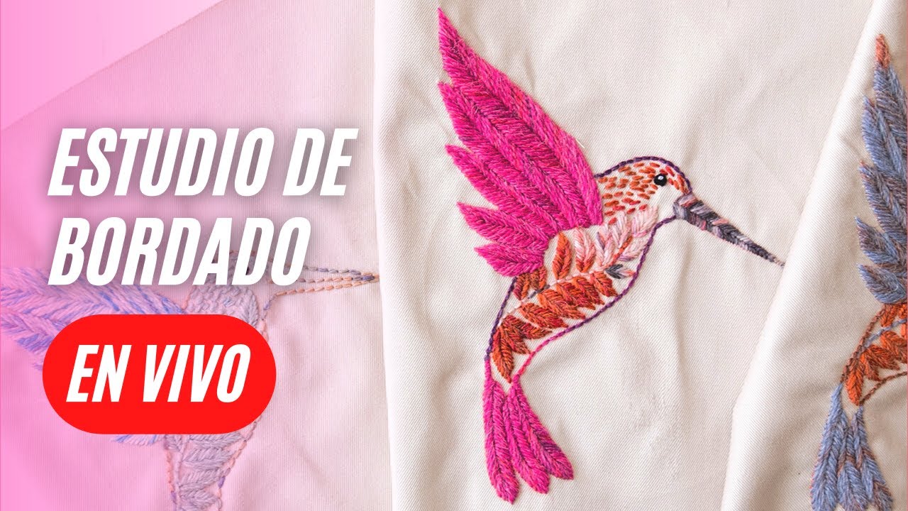 Bordando un colibrí con punto de relleno en V