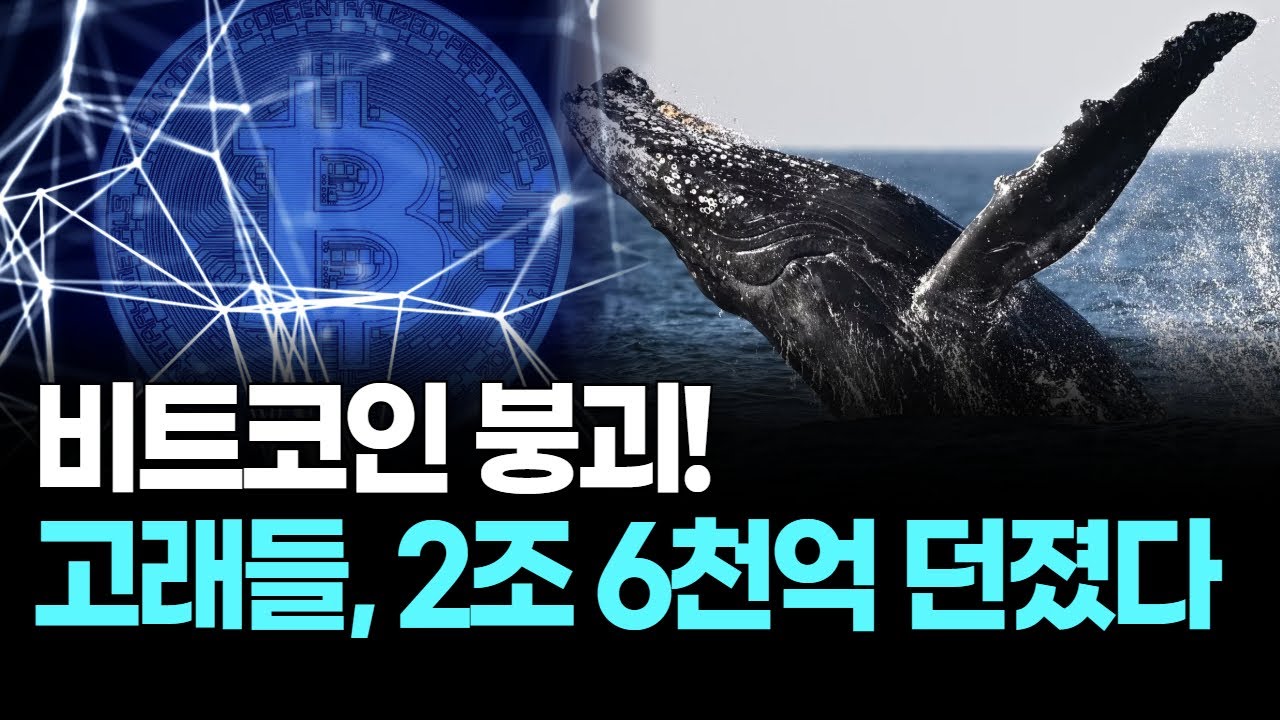 비트코인 붕괴! 고래들, 2조 6천억 던졌다