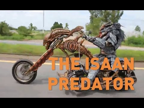 Predator Prowls Rural Thailand
