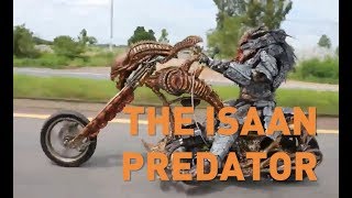 Predator Prowls Rural Thailand