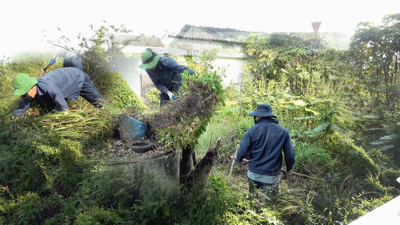 Заброшенный дом, заросший сорняками – полностью преобразился всего за 8 часов