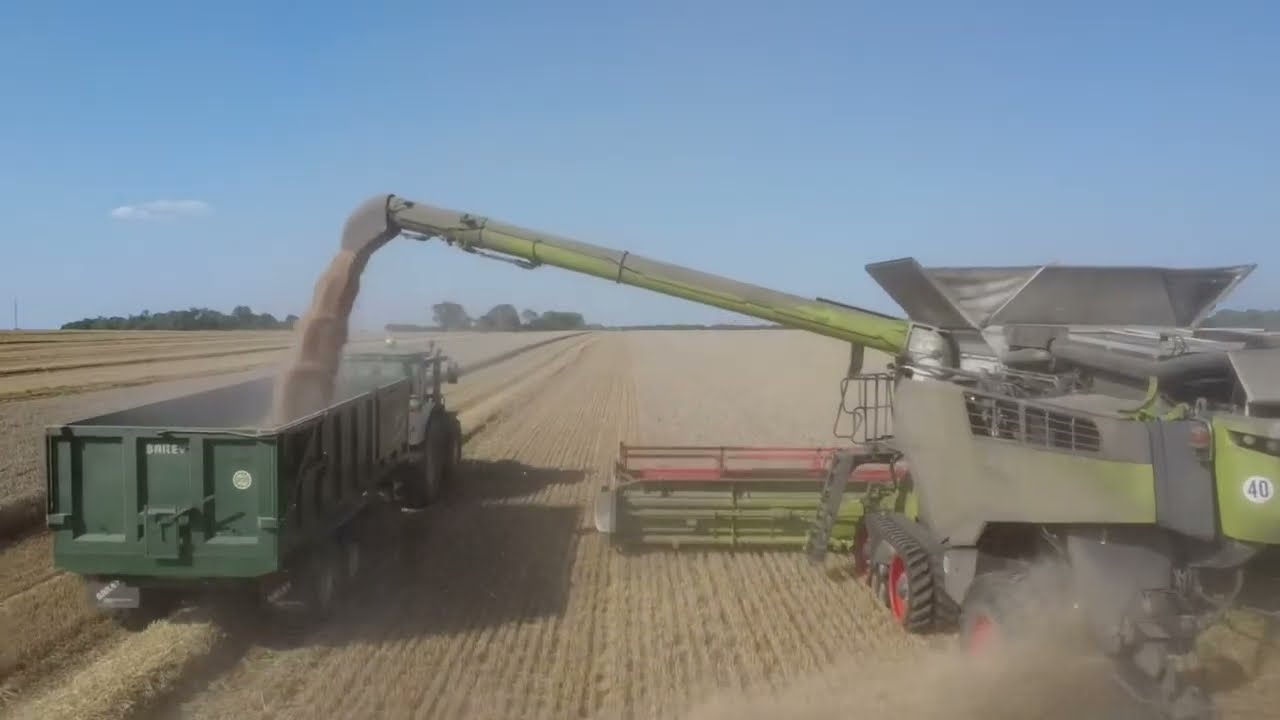 Harvest 2025 Essex UK 