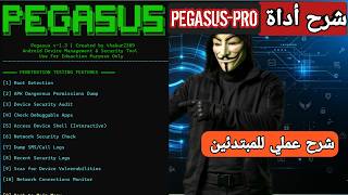 شرح Pegasus Pro: تحكم كامل بهاتف الأندرويد من الكمبيوتر (لقطات، تسجيل، عكس شاشة) screenshot 5