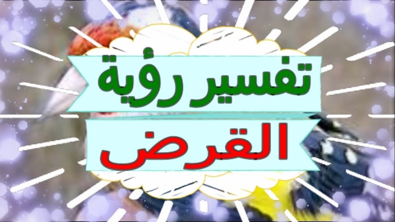 ‫تفسير رؤية القرض في المنام | تفسير الاحلام القرض - تفسير ...