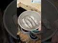 水族館飼育員のゆるゆるVlog⑥＠しながわ水族館【魚類】