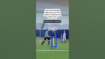 Free Webinar recording now available: Collection & Tight Turns in Dog Agility