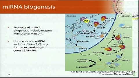 Sequence-Based RNA Profiling - Marco Marra