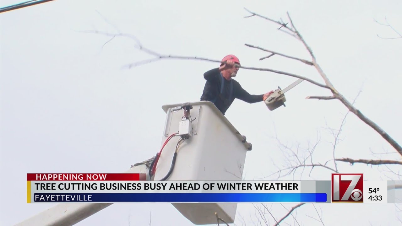 Fayetteville tree cutting businesses busy ahead of winter storm