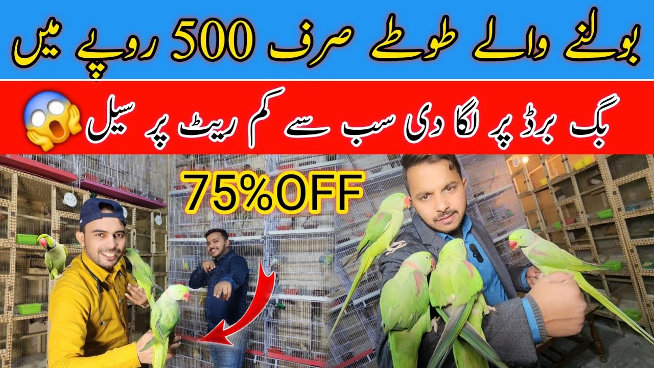 Bolne Wale Bache hi Bache Bohat Kam Rate  #lahorientertainmentchannel