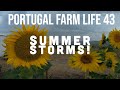 Portugal Farm Life - 43 - Summers Storms in Central Portugal