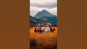هذا خلق الله | تلاوة خاشعة | إسلام صبحي #quran #quiz #كرومات