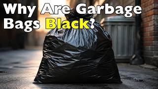Mengapa Harus Hitam? Kisah di Balik Kantong Sampah yang Belum Terungkap