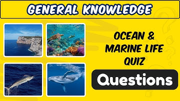 Ocean & Marine Life Quiz 🌊 | Test Your Sea Knowledge! 🐠
