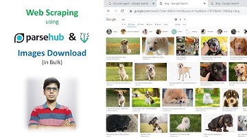Web Scraping - Google Images Download in Bulk without coding (using Parsehub & Tab Save)