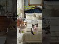 POV : J'attends ma copine chez moi #humour #drole #catmemes #pov