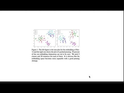 An Embarrassingly Simple Baseline to One-Shot Learning - YouTube