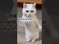 coba saja kalo beruntug kalian orang pintar
