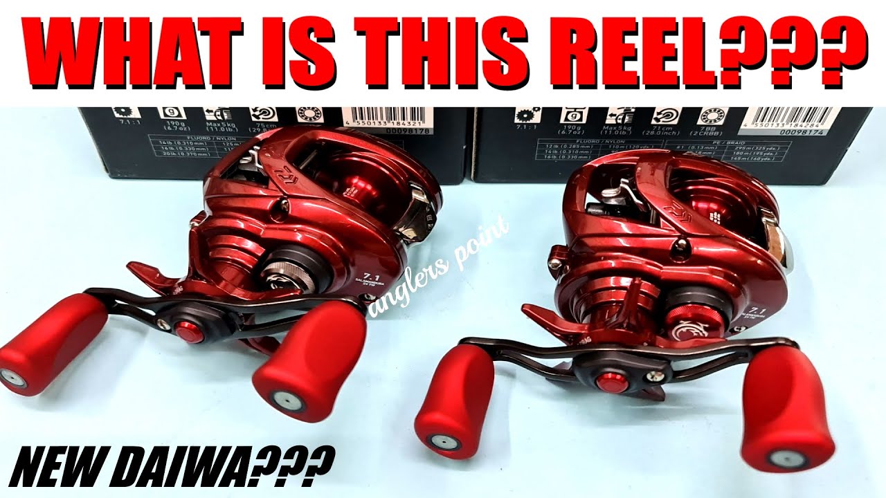 NEW Daiwa BAITCASTER??? I EXPLAIN what this REEL is!!! 