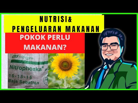 KEPERLUAN NUTRIEN TUMBUHAN |SPM SAINS | KBSM |MAKRONUTRIEN DAN MIKRONUTRIEN