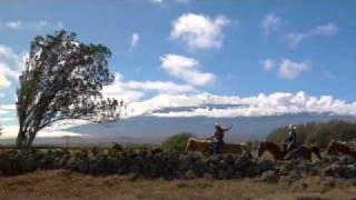 Hawaii's Big Island Horseback Riding Vacation
