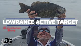 How important is Lowrance Active Target?