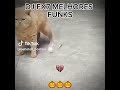MY BEST FUNKSS!!! (DJ M-A pls see this🥺🙏) #footbaledits #footballdesign #funk #djma #brazil