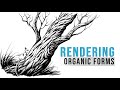 Rendering Organic Forms | Line Art Style | Tutorial