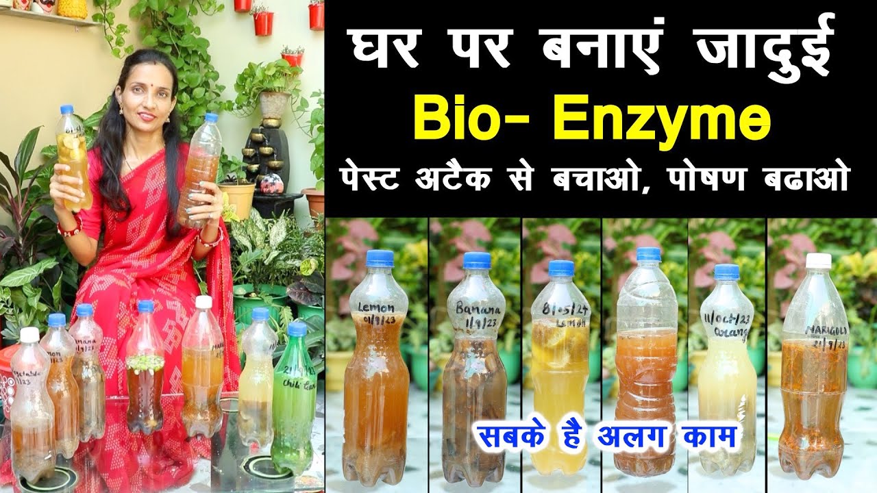 पौधों का जादुई टॉनिक Homemade Bio Enzyme 🌿 पेस्ट से बचाए, न्यूट्रीशन बढ़ाए || Unique Farming