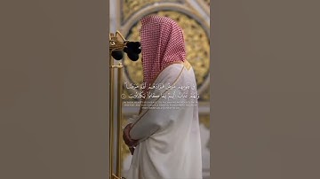 مقتطف من تلاوة فضيلة الشيخ #عبدالله_القرافي من صلاة التراويح ليلة ١٠ رمضان ١٤٤٦هـ