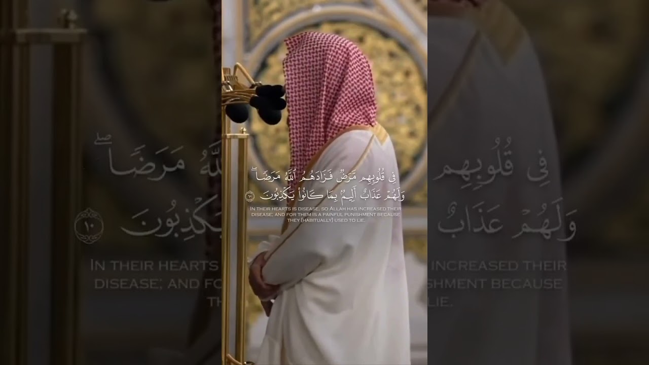 مقتطف من تلاوة فضيلة الشيخ #عبدالله_القرافي من صلاة التراويح ليلة ١٠ رمضان ١٤٤٦هـ