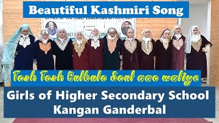 Tosh Tosh Bulbulo | Girls of Higher Secondary School Kangan | Kashmiri Girls Traditional Song #rouf