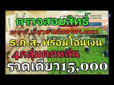 ตรวจสอบสิทธิ์ www.เยียวยาเกษตรกร.com  4 กลุ่มตกหล่นรอรับเงิน รวดเดียว 15,000บาท