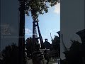 Screaming Condor