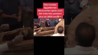 Des momies égyptiennes découverte après avoir été enterrées pendant plus de 2600 ans !!! Des momies égyptiennes découverte après avoir été enterrées pendant plus de 2600 ans !!!