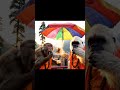 #jockey #minivlog monkey bhaiya gaye kedarnath ghumne vlog karne