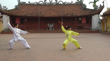 THÁI CỰC QUYỀN 42 THỨC VÕ SƯ NGUYÊN VĂN THẢO & HLV BÙI HỒNG HẢI