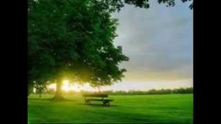 Ingin Kumiliki Ruth Sahanaya  Dengan Lirik 