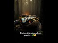 More than just a giant; a master of shadow and silence.#fypシ #fypシ゚viral #fyp #Wildlife #Snakes