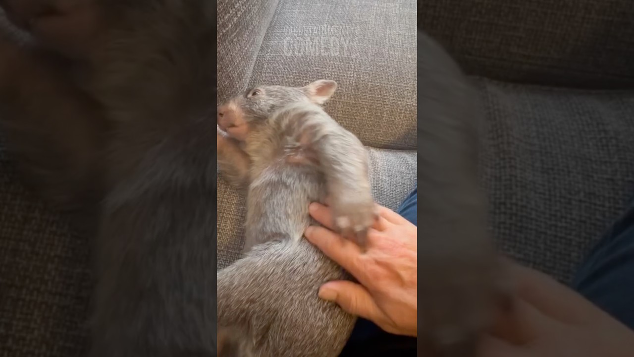 Scratch My Butt! 😂🍑