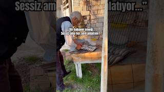 Babamın Ellerinde Hayat Var