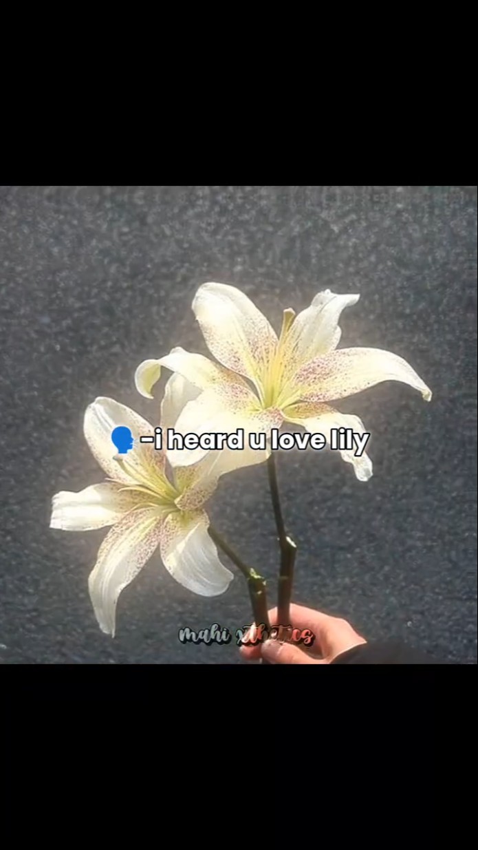 yes I love lily ✨🤌🏻🖤🎧#viral - YouTube