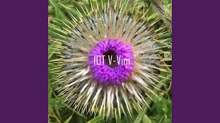 10T V-Vim