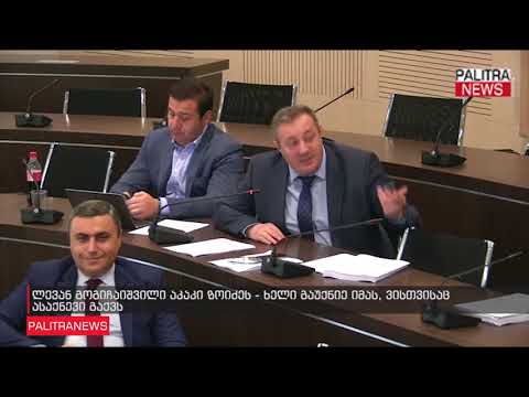 ლევან გოგიჩაიშვილი აკაკი ზოიძეს - ხელი გაუქნიე იმას, ვისთვისაც ასაქნევი გაქვს