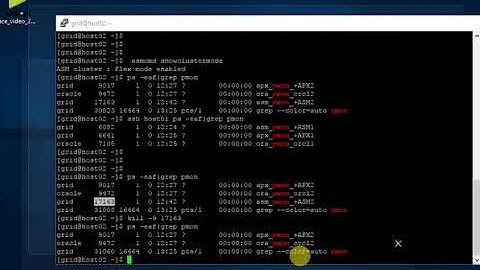 Working with 12c Flex ASM