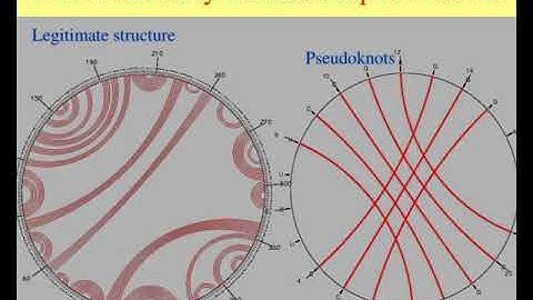 rna secondary structure prediction