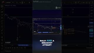 Dogwifhat (WIF) Price Elliott Wave Price Update: Understanding the Bullish and Bearish Scenarios