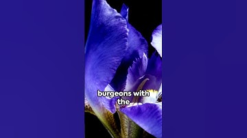 Lecture 16. Summary. Chain Reaction. The Evolution of Life #evolution #animation #eart #biology